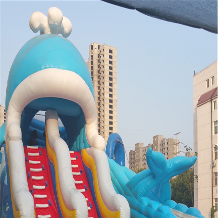 陆河充气水上滑梯